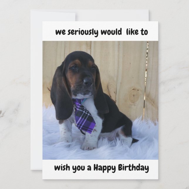 Basset hound grattis på födelsedagen-kort (Framsida)