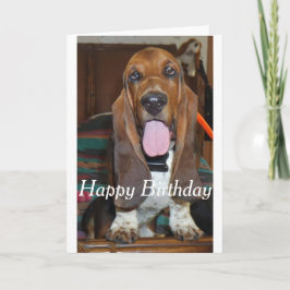 Basset hound Grattis på födelsedagen-kort Kort