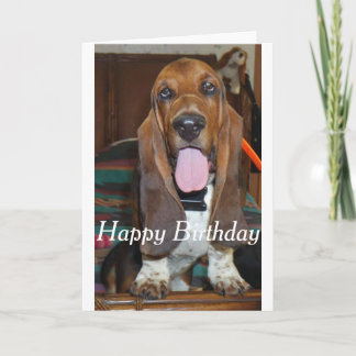 Basset hound Grattis på födelsedagen-kort Kort
