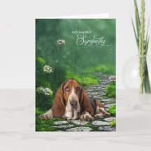 Basset Hound Grönt Garden Väg Pet Sympathy