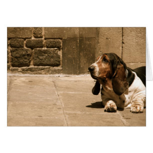 Basset Hound Hälsningskort