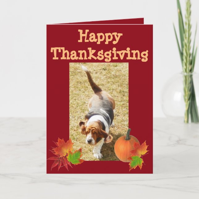 Basset Hound "Happy thanksgiving"-kort med Pumpkin Helgkort (Framsida)