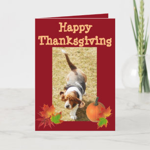 Basset Hound "Happy thanksgiving"-kort med Pumpkin Helgkort
