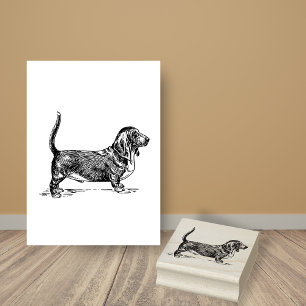 Basset Hound Hund aveln Stämpel