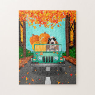 Basset Hound Hund Fall Pumpkin Pussel