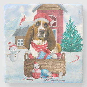 Basset Hound Hund I snö Hund House Stenunderlägg