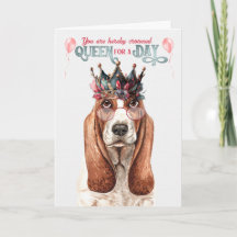 Basset Hound Hund Queen för en dag på födelsedagen