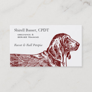Basset Hound Hundras Husdjur Professionell Visitkort