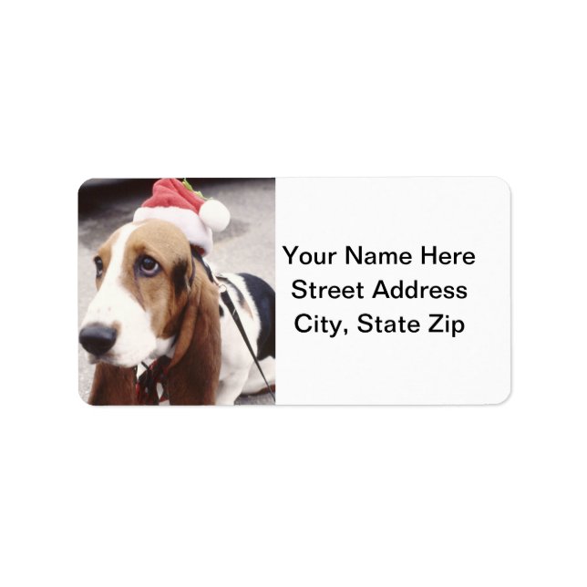 Basset Hound i Santa Hat Adressetikett (Framsidan)