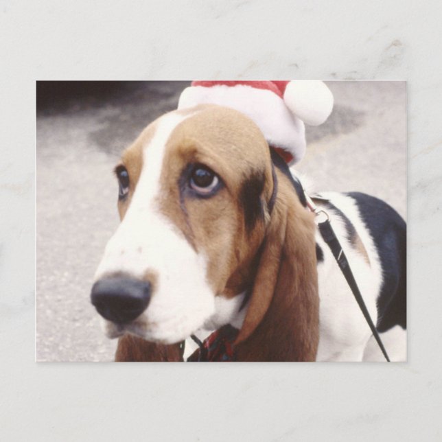 Basset Hound i Santa Hat Helg Vykort (Framsida)