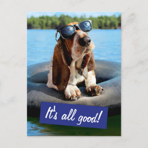 Basset Hound i solglasögon Inbjudan Vykort