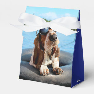 Basset Hound i solglasögon Presentaskar