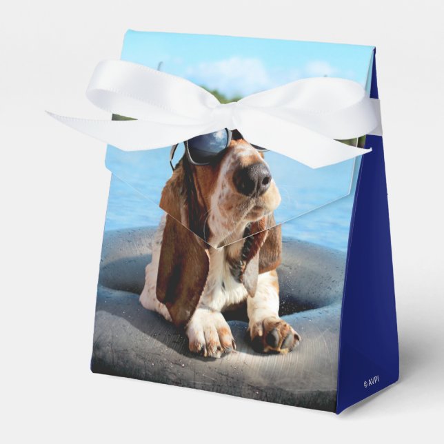 Basset Hound i solglasögon Presentaskar (Framsidan Sidan)