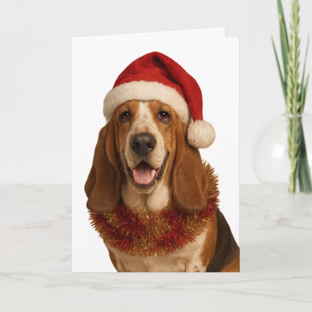 Basset Hound in a Santa hat Christmas card Kort (Framsida)