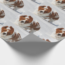 Basset Hound in Snö Wrapping Papper