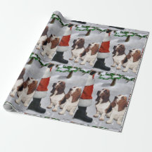 Basset Hound jul
