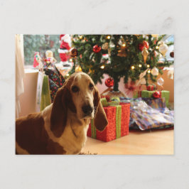 Basset Hound-jul Vykort