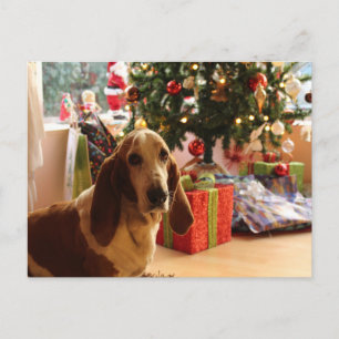 Basset Hound-jul Vykort