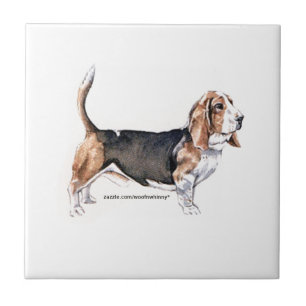 Basset Hound Kakelplatta
