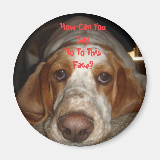 Basset Hound Magnet (Framsidan)
