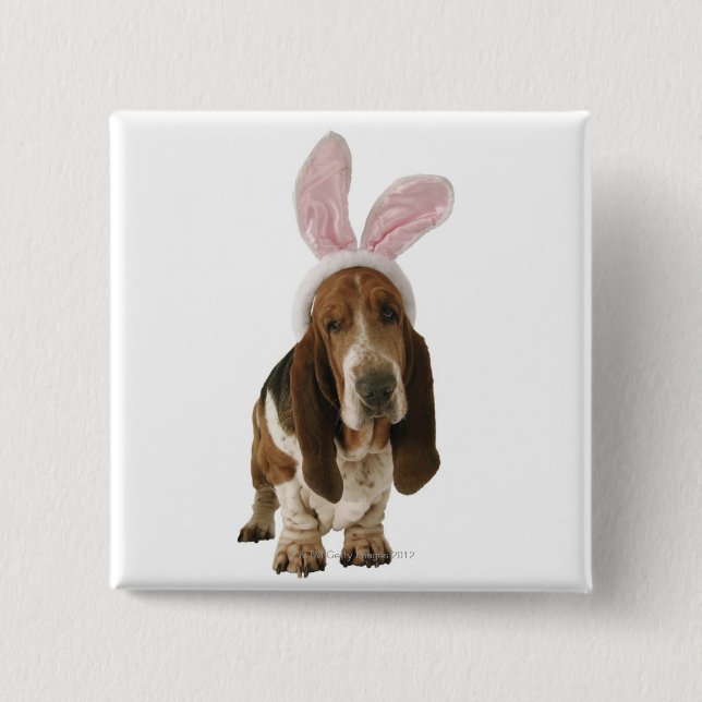 Basset hound med bunny öron knapp (Framsida)