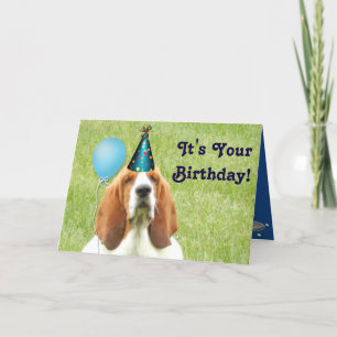 Basset Hound med födelsekort från party Kort