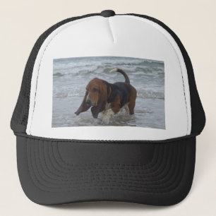 Basset Hound Med Hatt Vid Havet Keps
