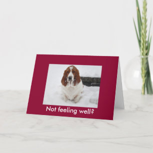 Basset Hound med ledsen ansikte lustigt får bra ko Kort