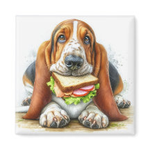 Basset Hound med smörgås magnet