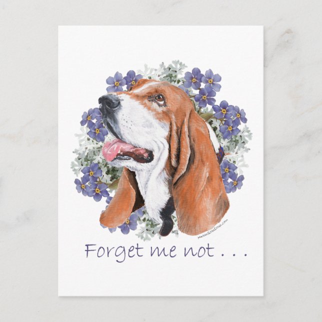 Basset Hound Minne Vykort (Framsida)