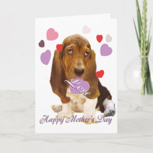 Basset Hound Moths dag Kort