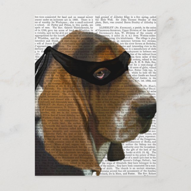 Basset Hound Ninja Vykort (Framsida)
