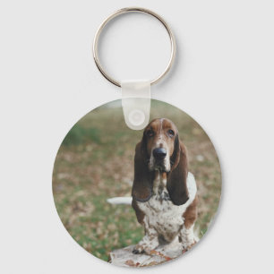 Basset Hound Nyckelring