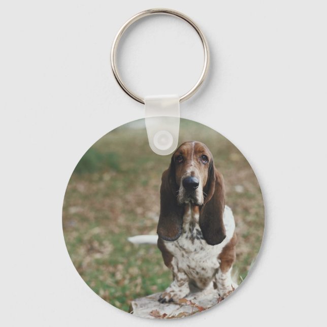 Basset Hound Nyckelring (Framsida)