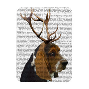 Basset Hound och Antlers Magnet