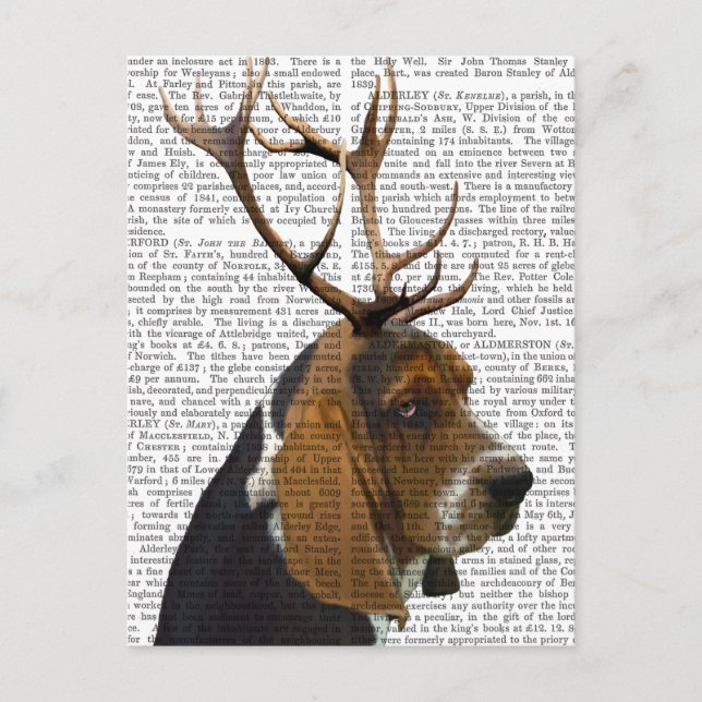 Basset Hound och Antlers Vykort (Framsida)