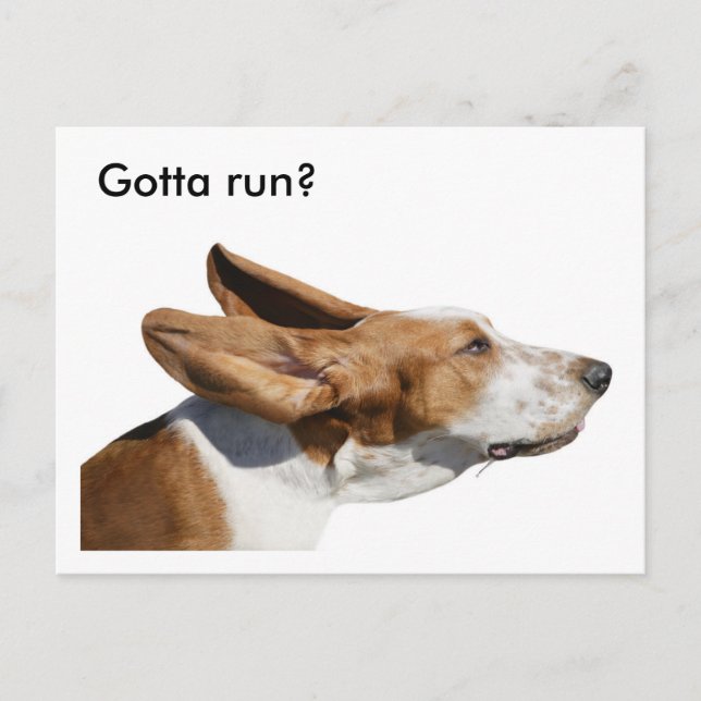 Basset Hound Öron Flappning in Vind Pet Sitter Vykort (Framsida)