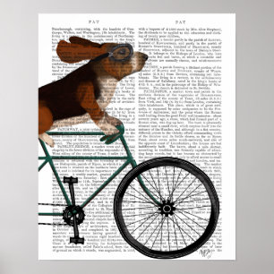 Basset Hound på cykel Poster