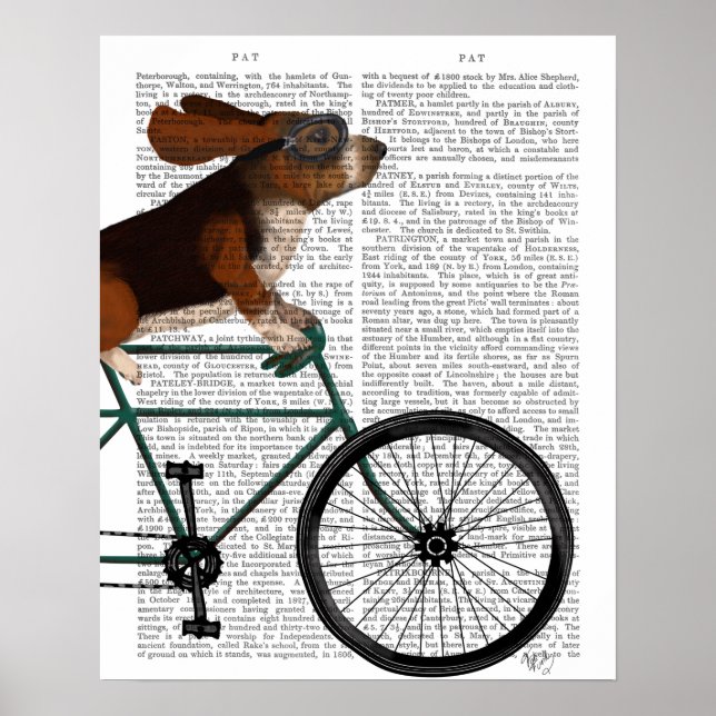 Basset Hound på cykel Poster (Framsidan)