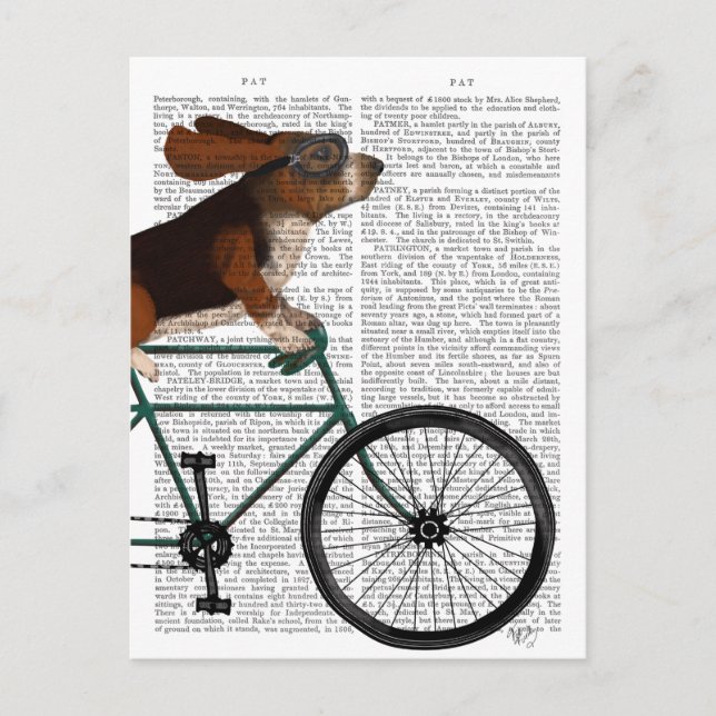 Basset Hound på cykel Vykort (Framsida)