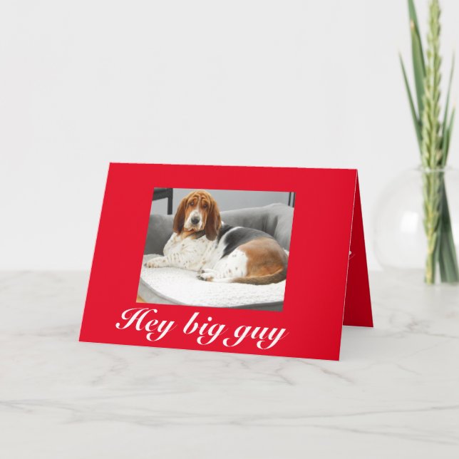 Basset hound på ett roligt Valentindagskort Helgkort (Framsida)