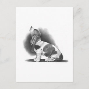BASSET HOUND: PENCIL REALISM ART VYKORT