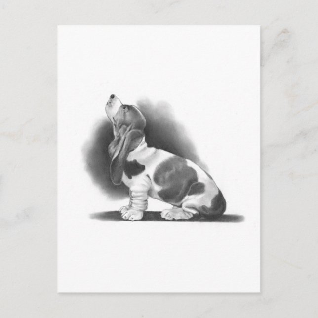 BASSET HOUND: PENCIL REALISM ART VYKORT (Framsida)