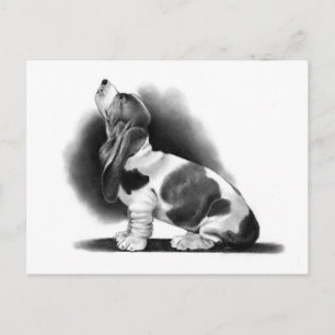 BASSET HOUND: PENCIL REALISM: PUPPY VYKORT