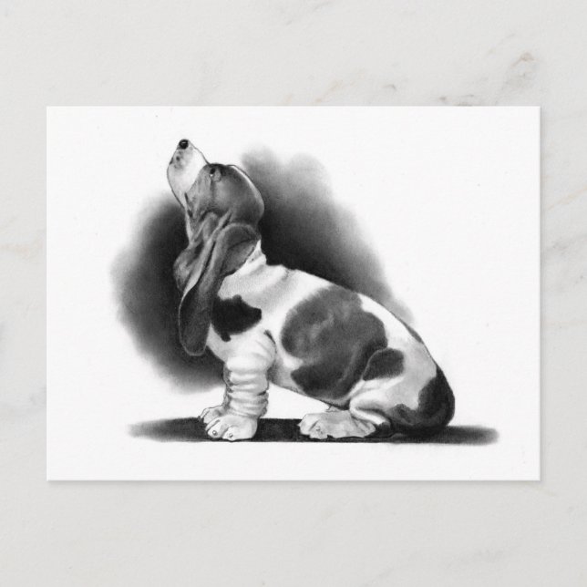 BASSET HOUND: PENCIL REALISM: PUPPY VYKORT (Framsida)
