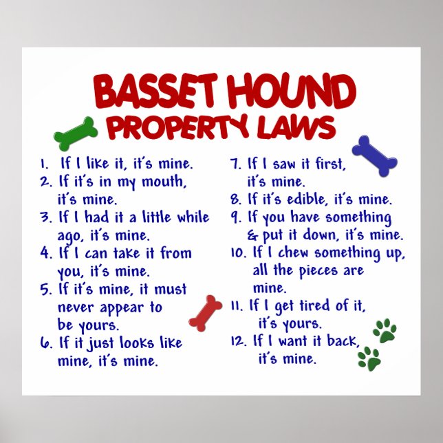 BASSET HOUND PL2 POSTER (Framsidan)