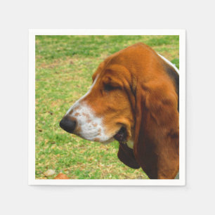 basset-hound.png pappersservett
