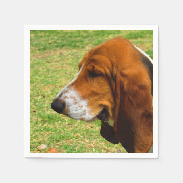 basset-hound.png pappersservett (Framsidan)