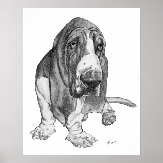 Basset Hound Poster (Framsidan)