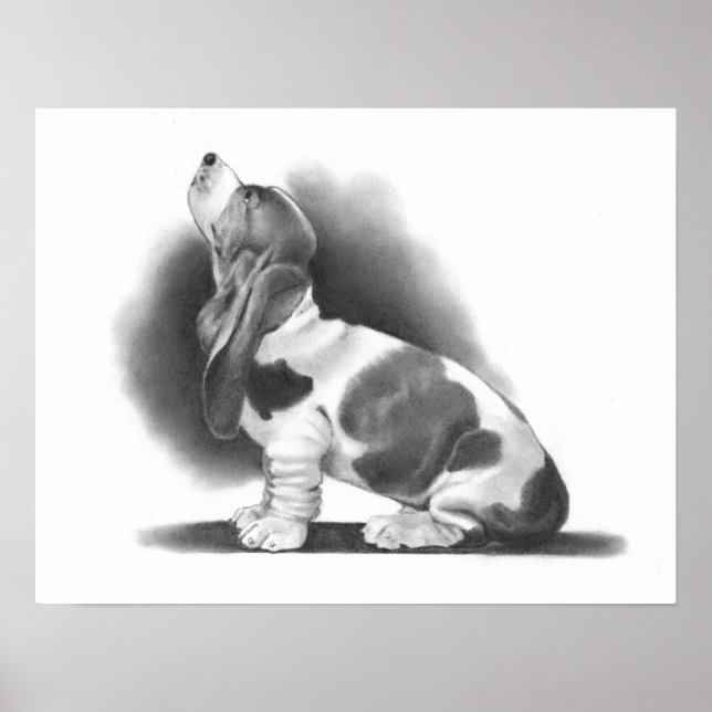 BASSET HOUND POSTER: PENCIL REALISM ART POSTER (Framsidan)